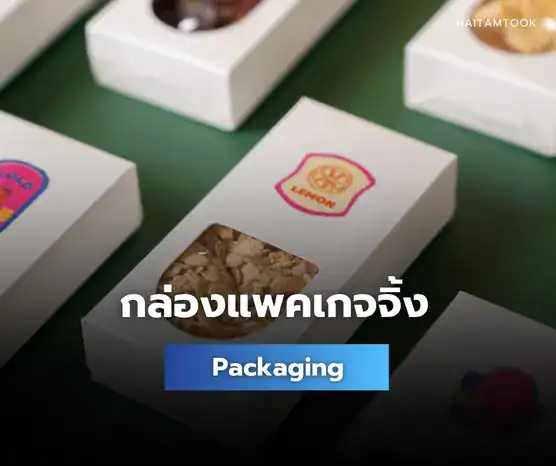 ผลงานกล่องแพคเกจจิ้ง