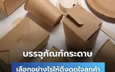 บรรจุภัณฑ์กระดาษ มีอะไรบ้าง เลือกอย่างไรให้ดึงดูดใจลูกค้า